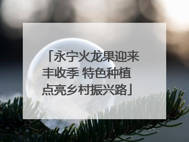 永宁火龙果迎来丰收季 特色种植点亮乡村振兴路